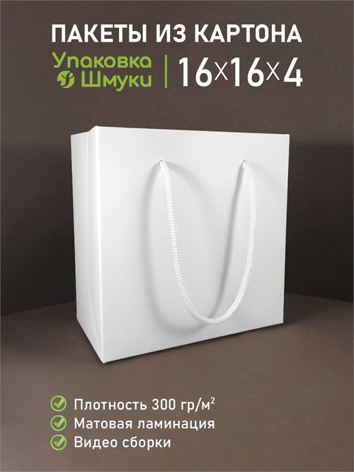 Пакет 16х16х4 см белый со сборным дном с белыми ручками 16164_white_rw
