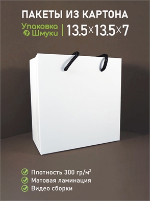 {{productViewItem.photos[photoViewList.activeNavIndex].Alt || productViewItem.photos[photoViewList.activeNavIndex].Description || 'Пакет 13,5х13,5х7 см белый со сборным дном с тиснением логотипа с черными ручками'}}